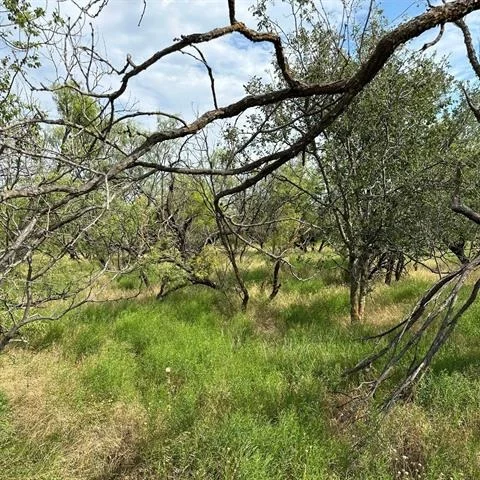 Photo of Tract 19 CR 150