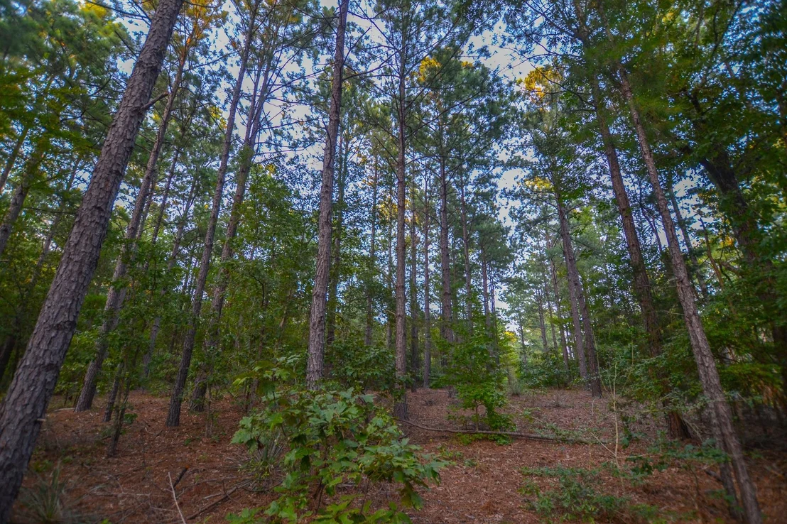 Photo of Tract 3 Hwy 155