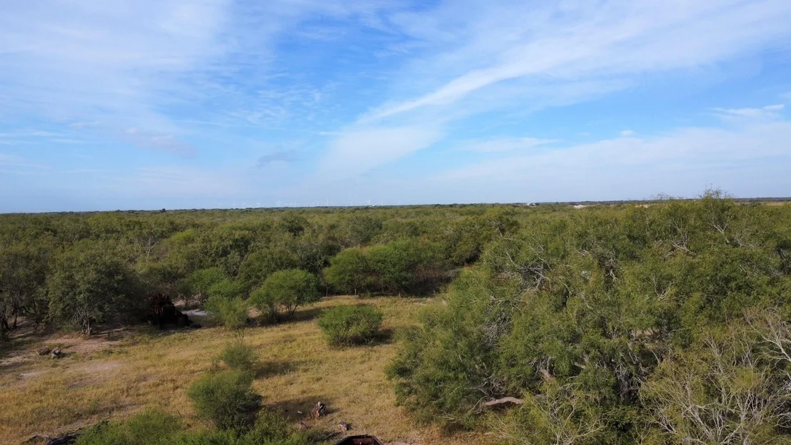 Photo of 14135 County Road 1144