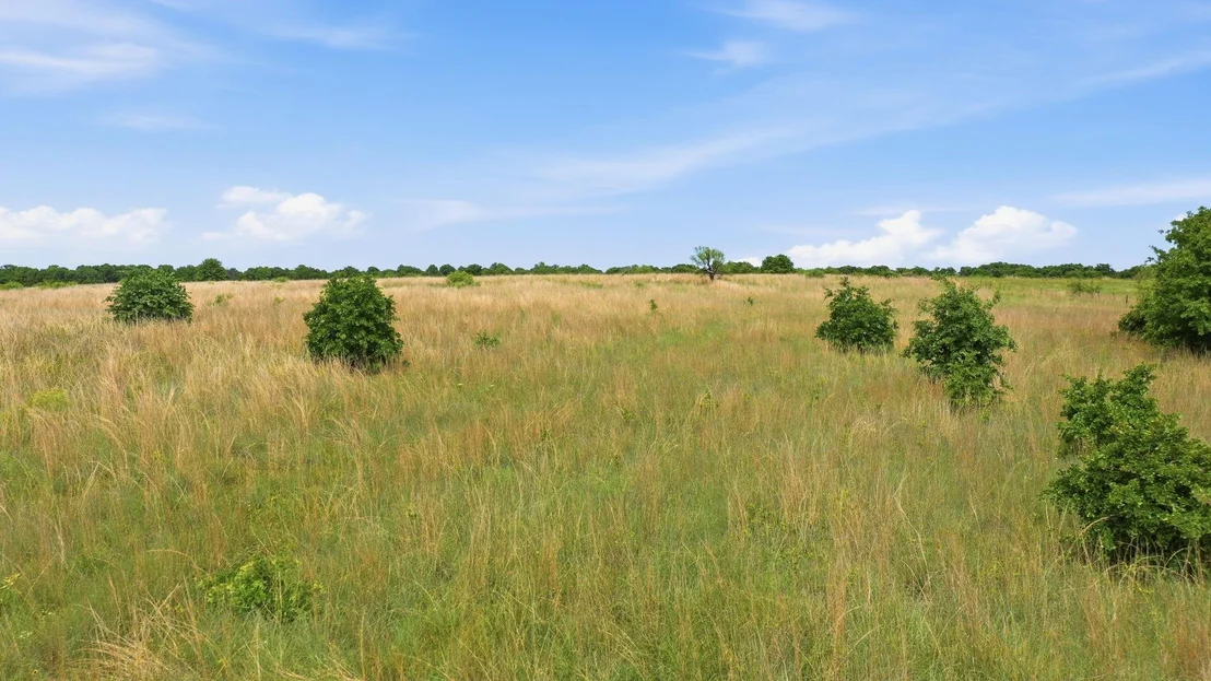 Photo of 2051 Mustang Ridge