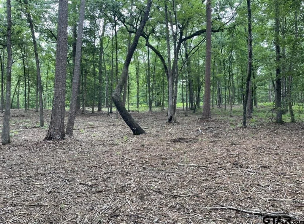 Photo of 1688 County Road 1597