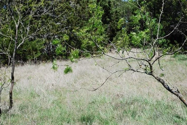 Photo of 19016 Bluebonnet Drive