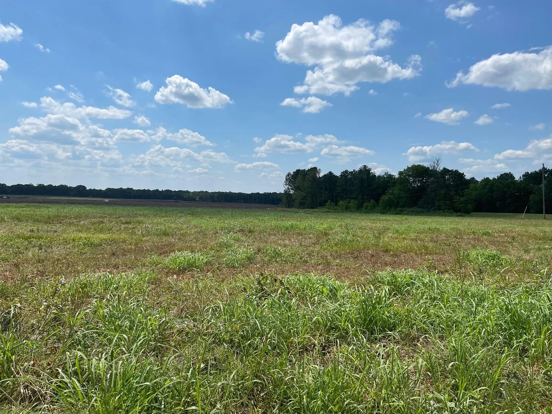 Photo of 332 County Road 1290