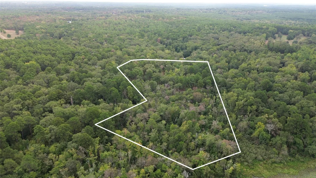 Photo of 1688 County Road 1597