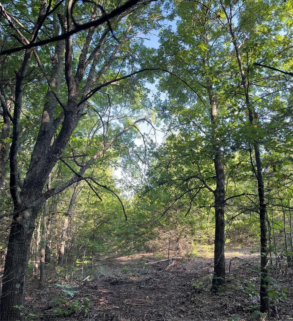 Photo of Tract 1, Key Road