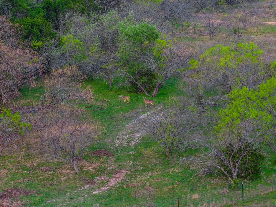 Photo of 3601 County Road 188