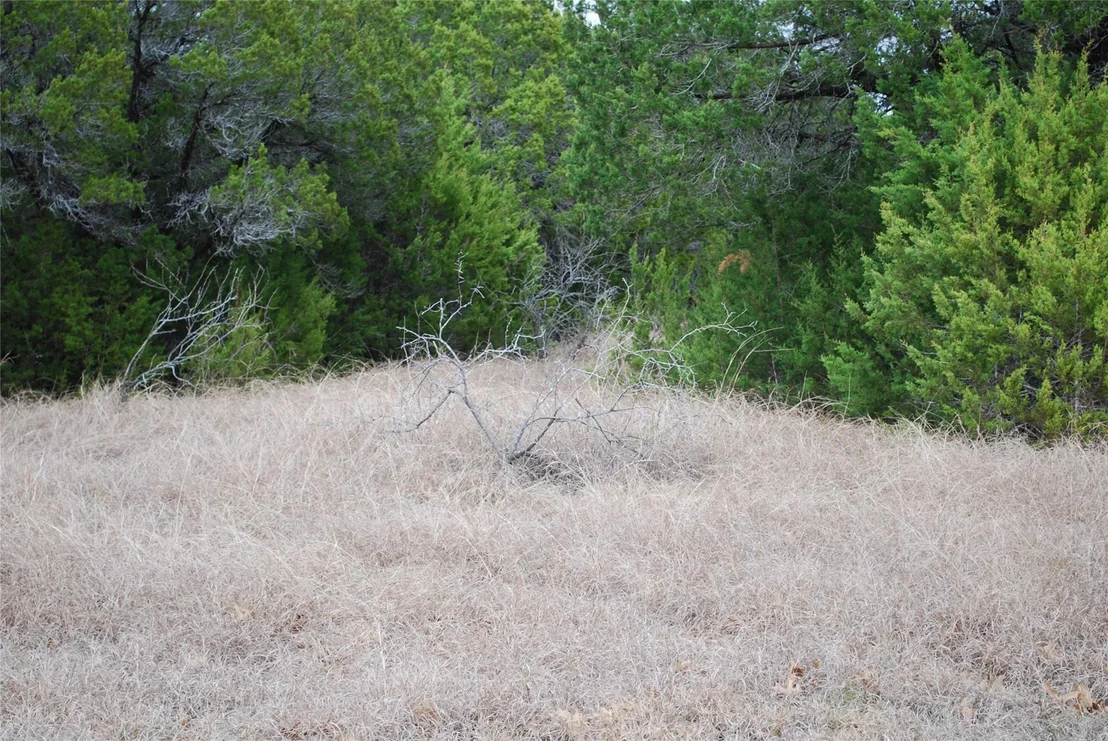 Photo of 43111 Indian Blanket Drive