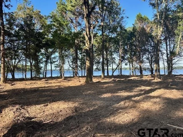 Photo of Lot 111 Oak River