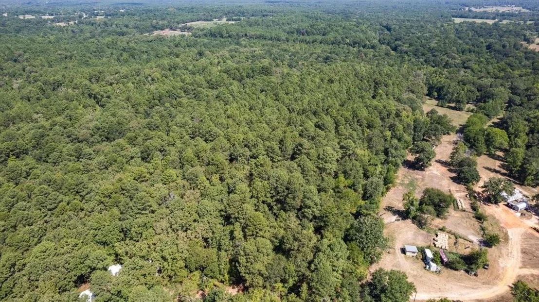 Photo of 431 County Road 2487