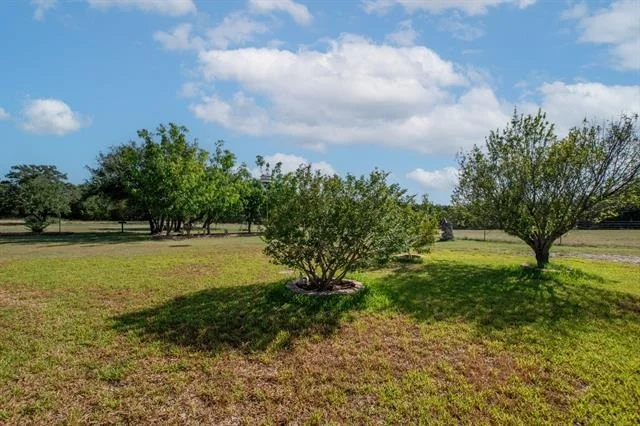 Photo of 853 County Road 4390