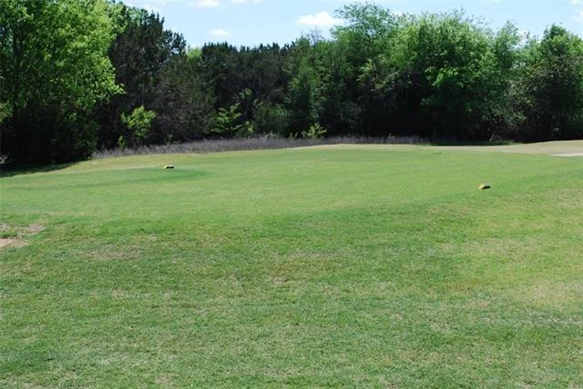 Photo of 19016 Bluebonnet Drive