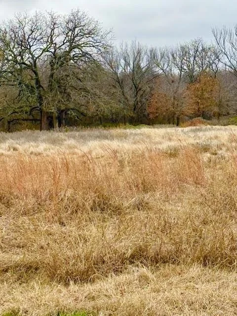 Photo of 702 County Road 3597