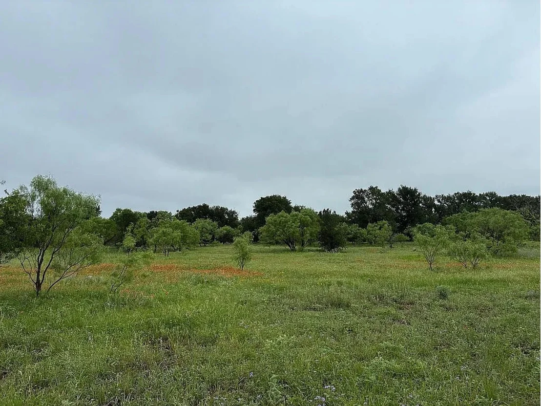 Photo of 433 County Road 327