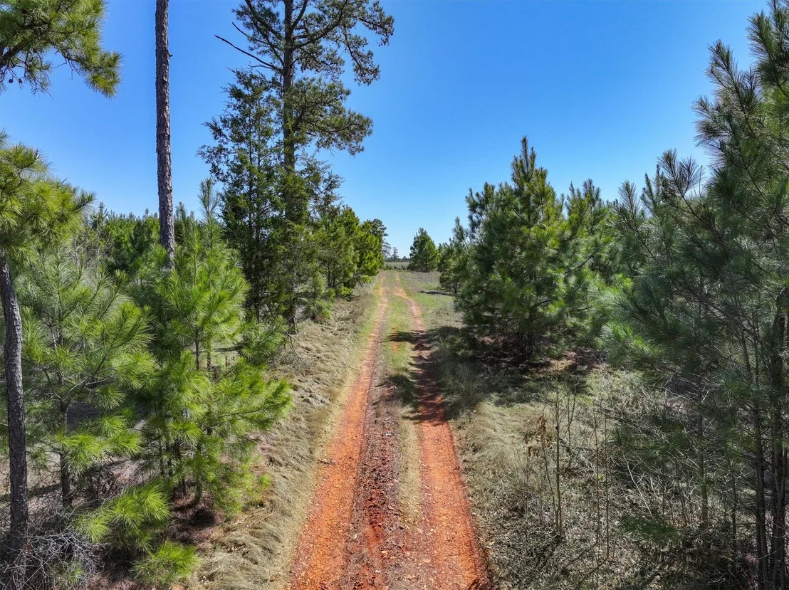 Photo of 421 CR 3875