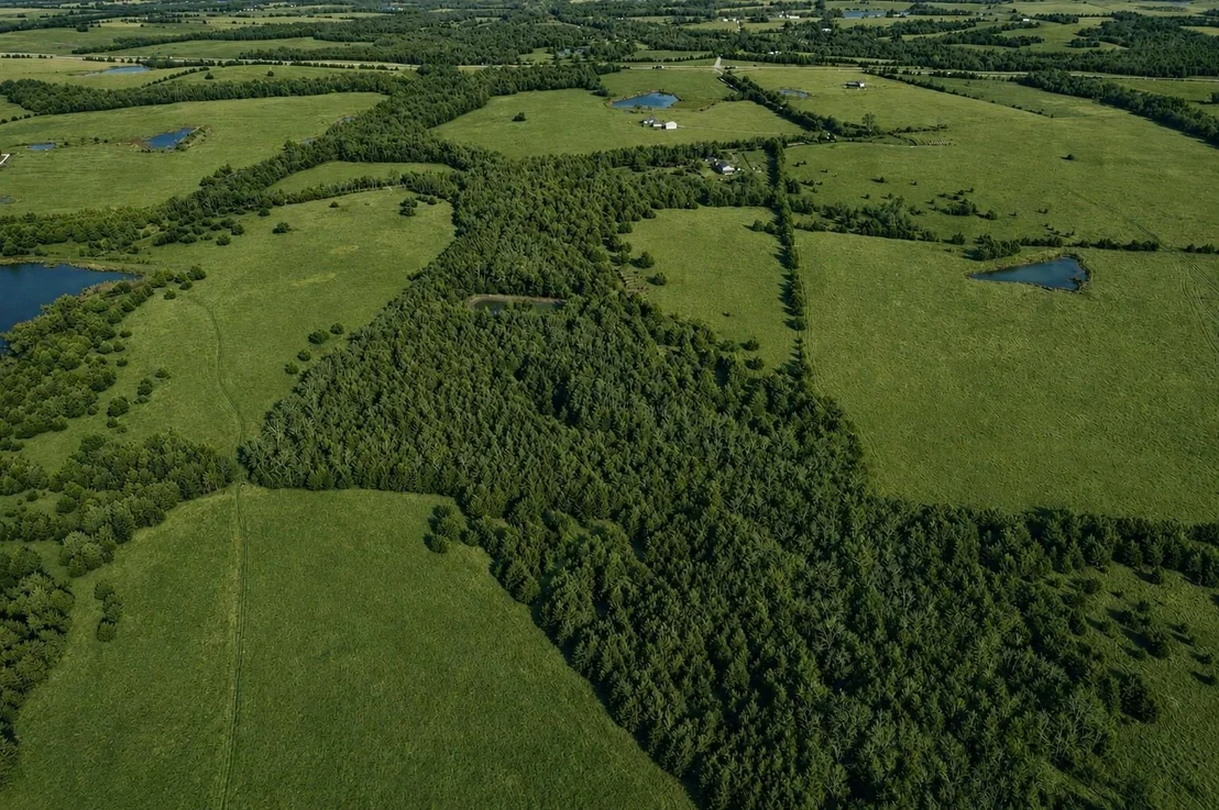 Photo of 2800 County Road 2905