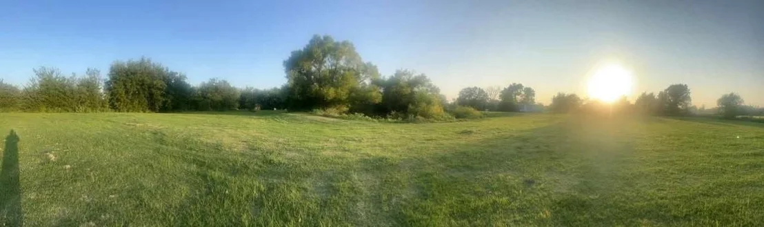 Photo of 8079 Harden Oaks