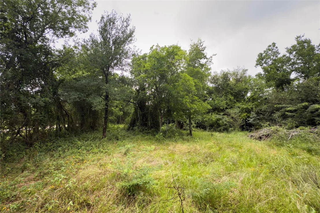 Photo of Lot 9 County Road 173