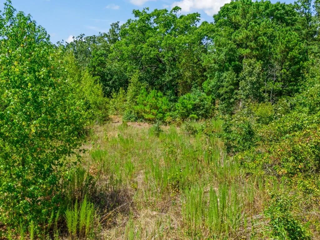 Photo of TBD CR 3854 4.542 Acres