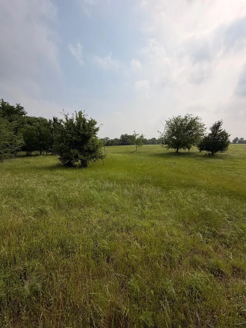Photo of 345 CR 3346
