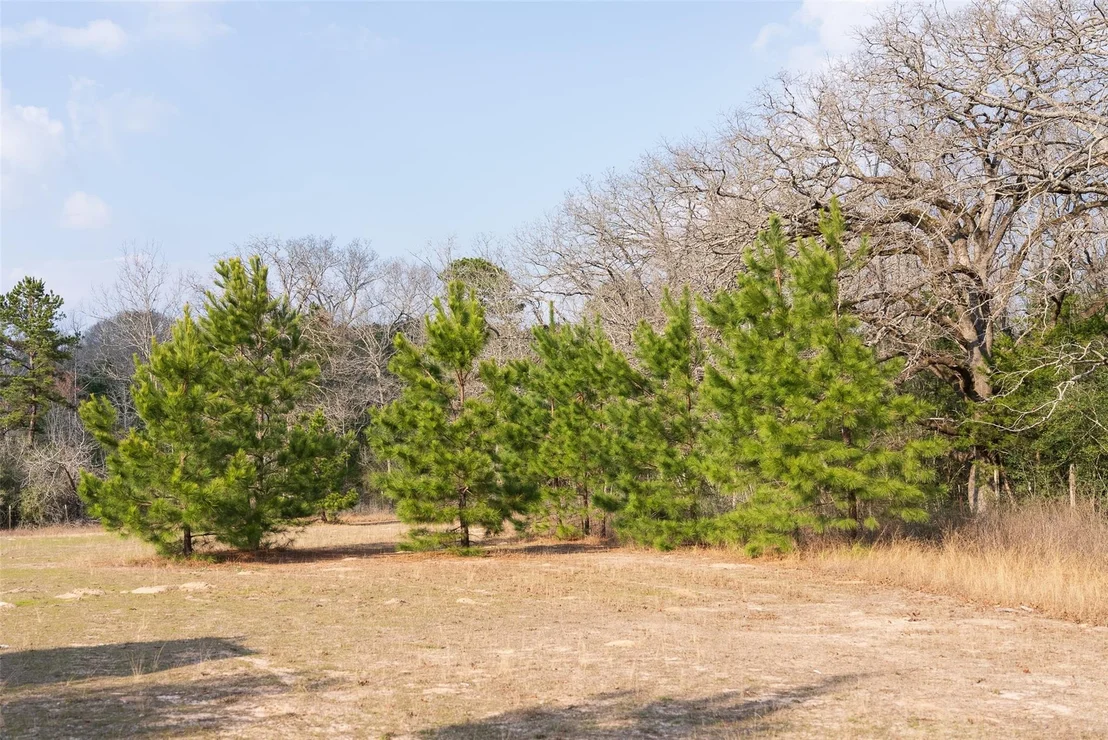 Photo of 9190 County Road 2136 N