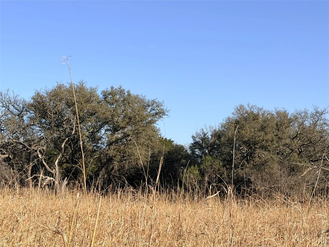 Photo of 65 CR 406