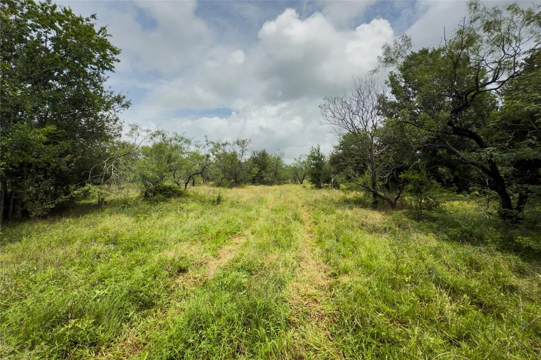 Photo of Lot 11 County Road 173