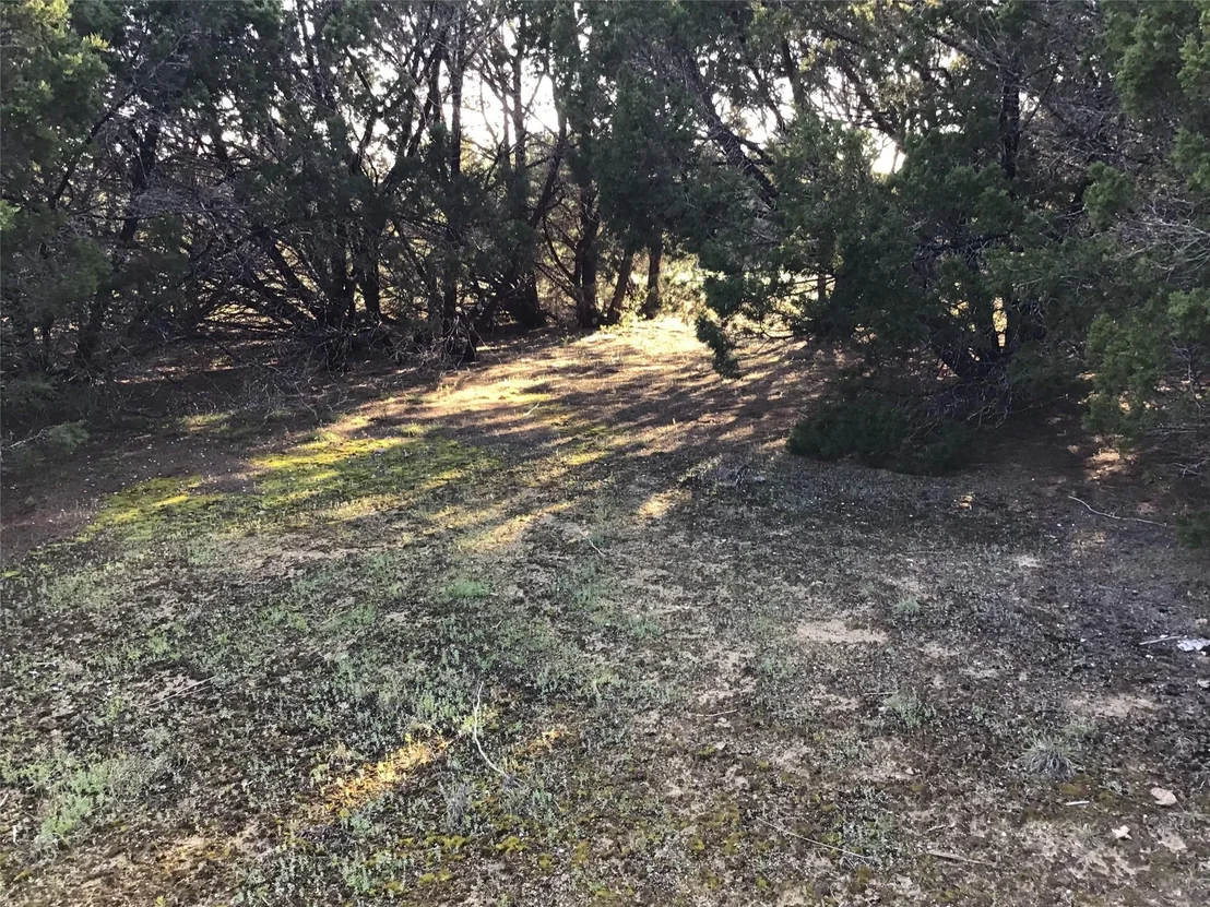 Photo of 29084 Cedar Hill Dr & Timberwood Drive