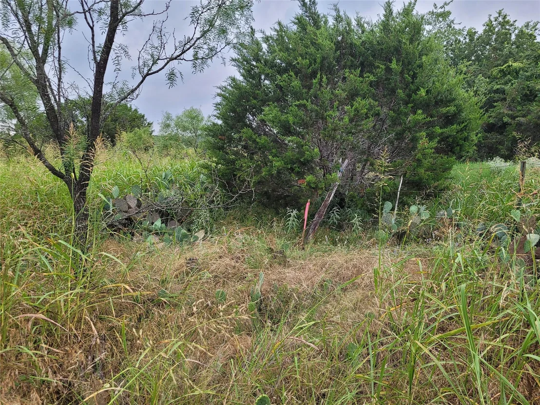 Photo of 9680 US HWY 190 E