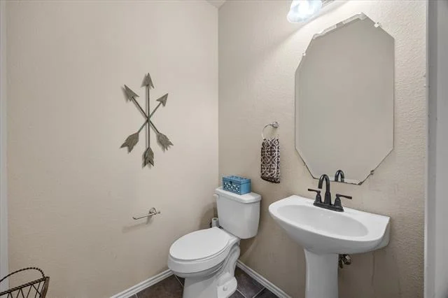 Photo of 2025 Aster Trail