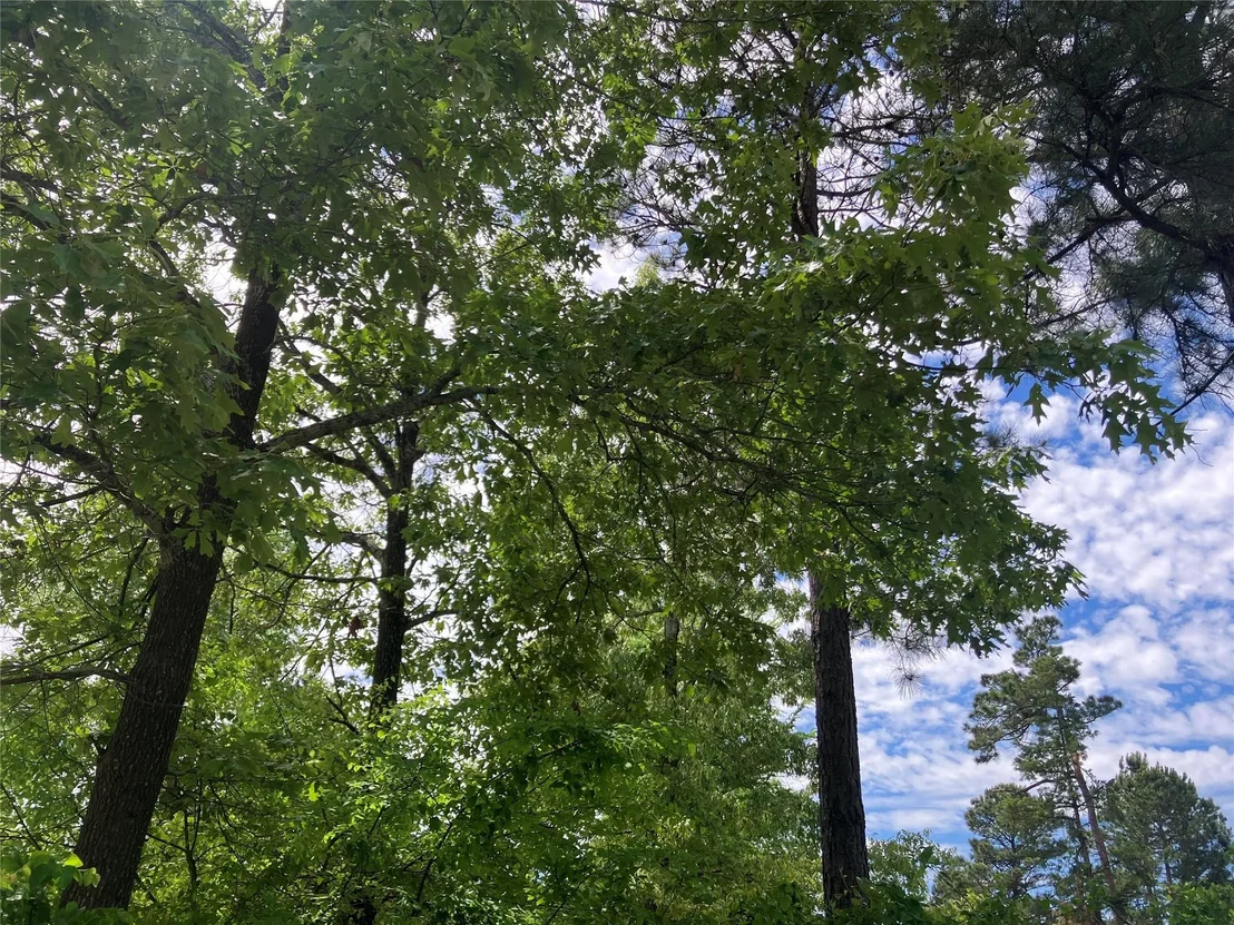 Photo of TBD Ridgeline Loop
