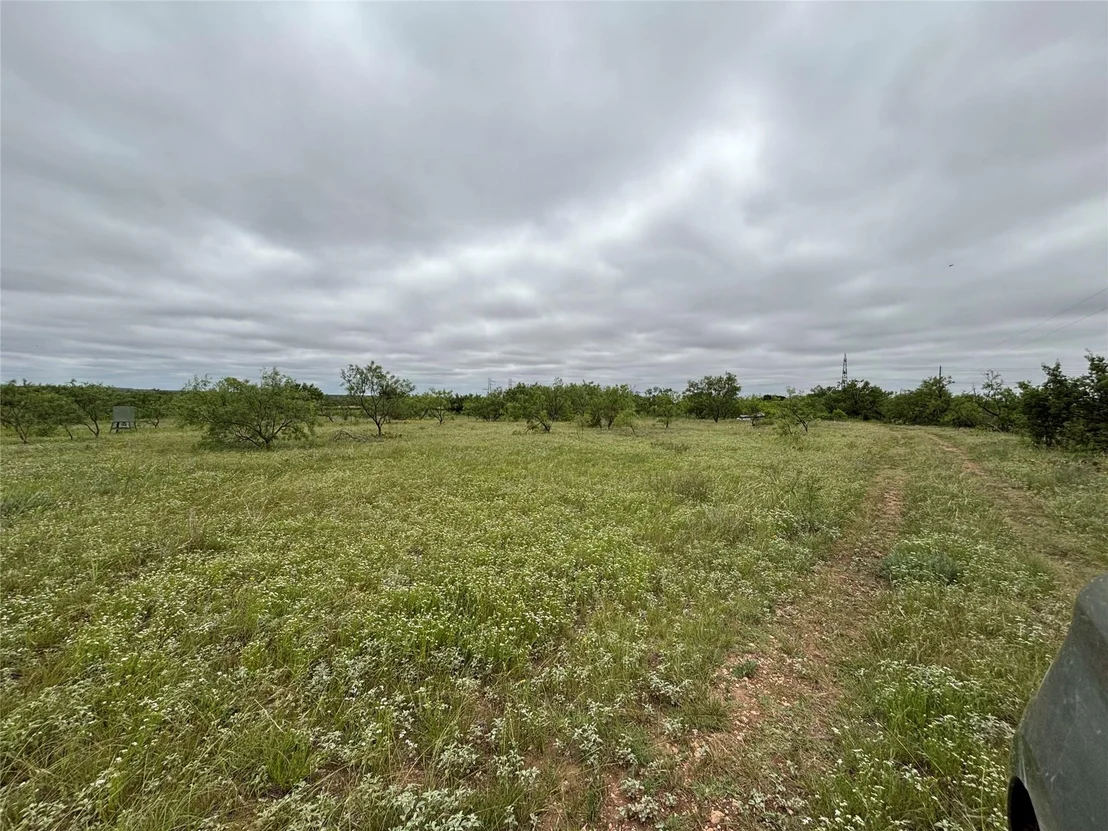 Photo of 202 County Road 312