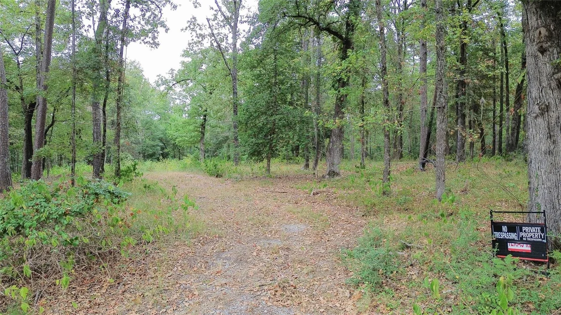 Photo of 1688 County Road 1597