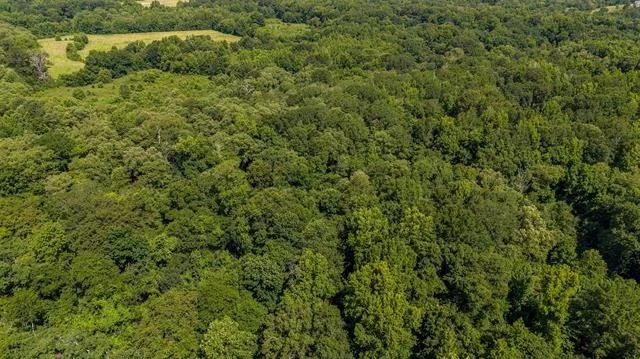 Photo of 2280 County Road 129