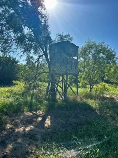 Photo of 575 County Road 442