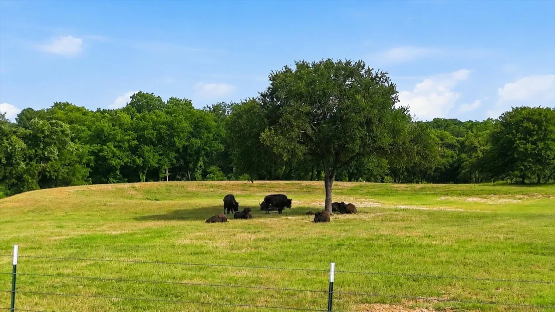 Photo of 579 County Road 4599