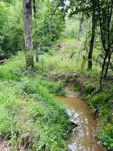 Photo of 950 VZ County Road 1919