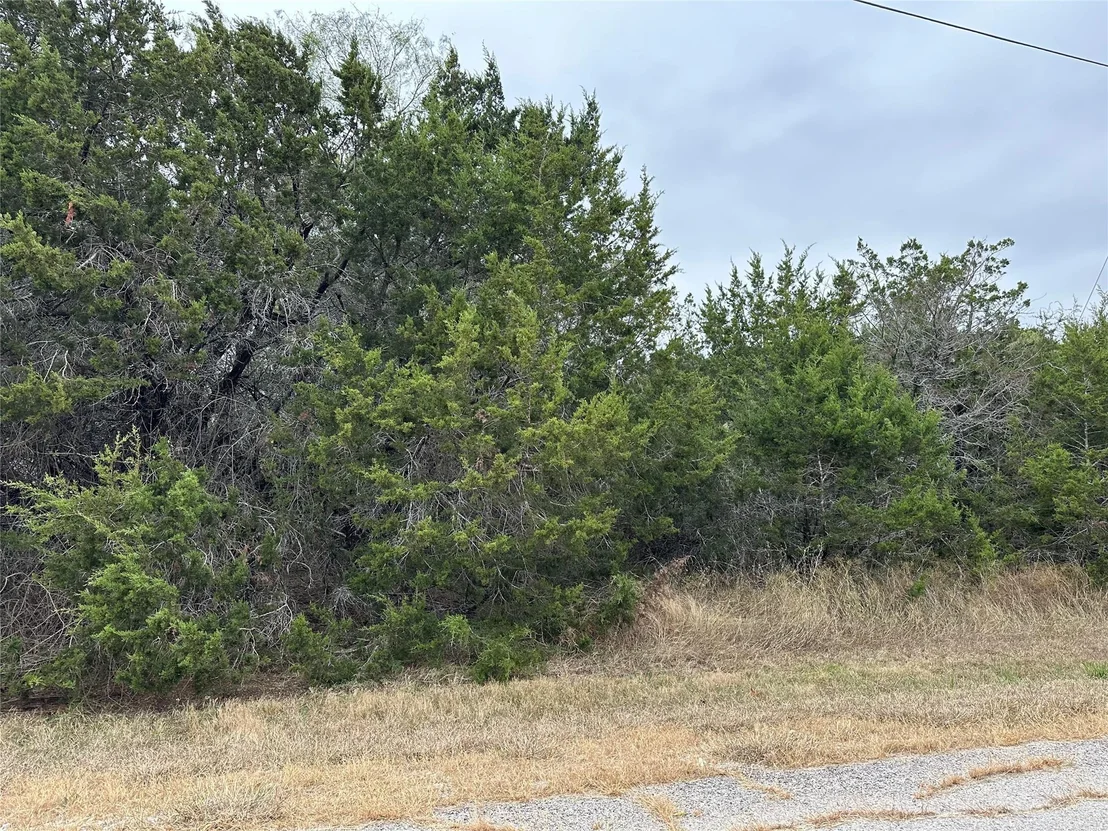 Photo of 43164 Thistle Trail