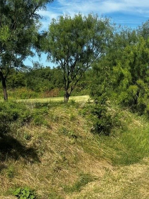 Photo of 575 County Road 442