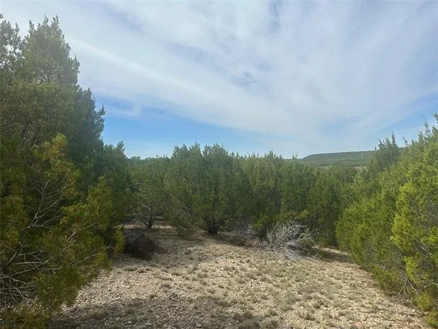 Photo of 1241 Balcones Lane