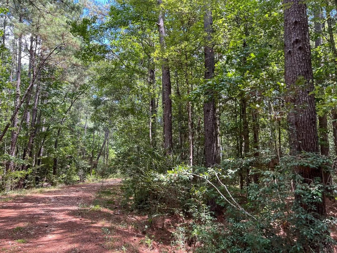 Photo of 0 US 69