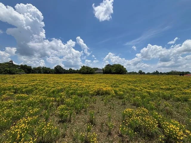 Photo of 3834 Fenley Flat Road