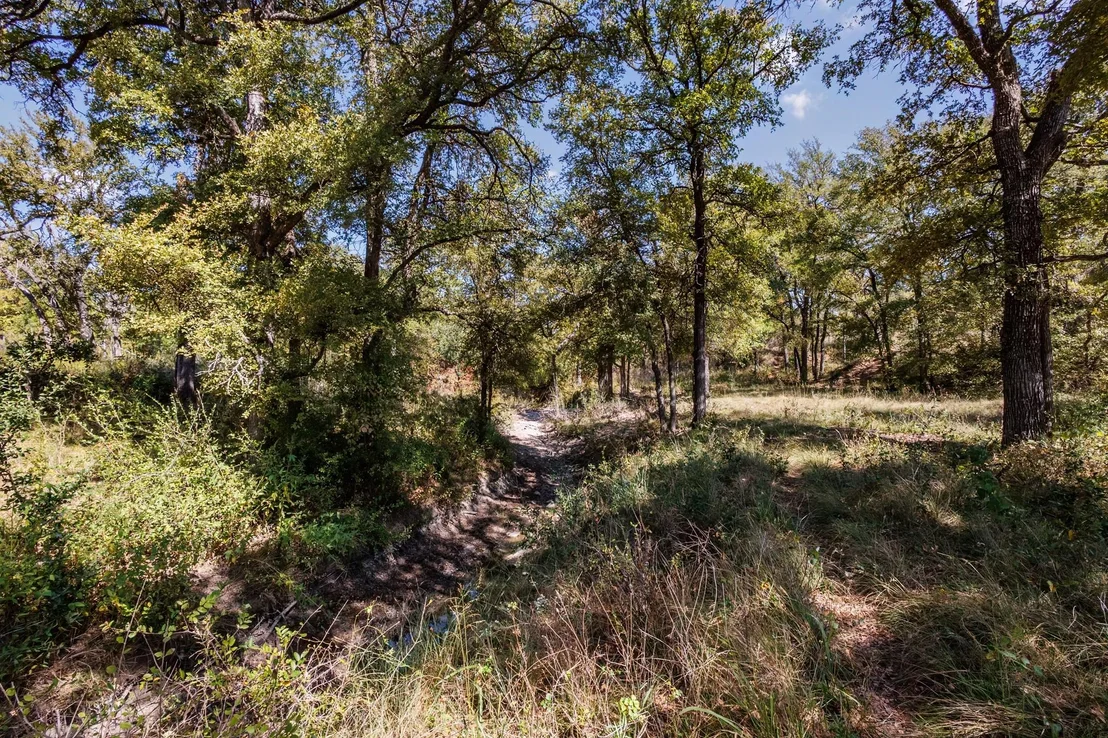 Photo of 342 Tatanka Trail
