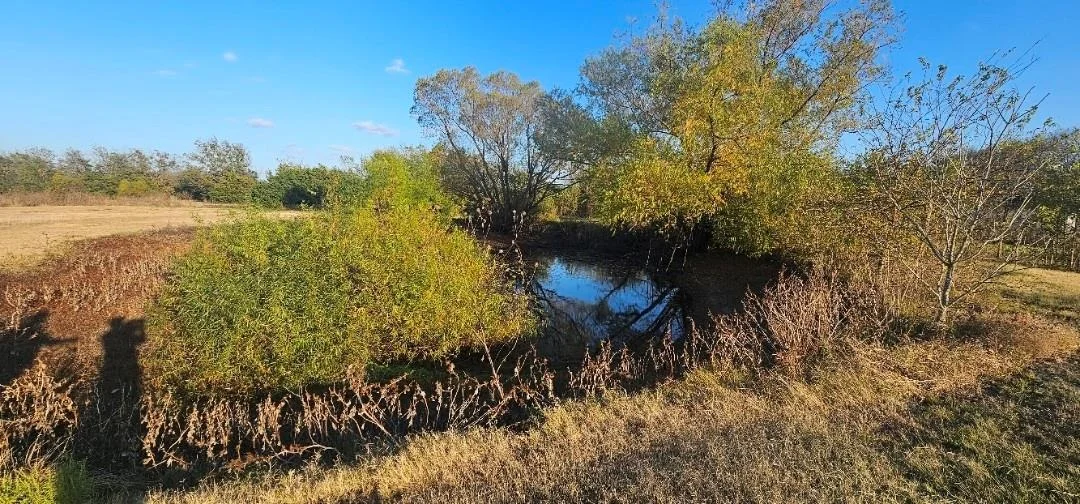 Photo of 8079 Harden Oaks