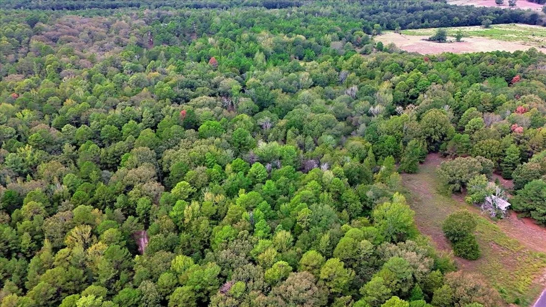 Photo of 448 County Road 3955