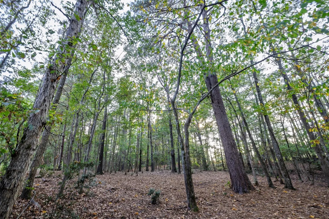 Photo of 973 County Road 2572