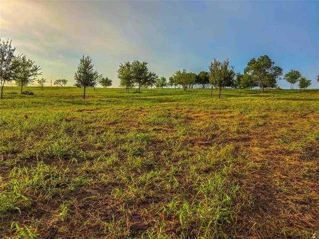 Photo of 524 County Road 453