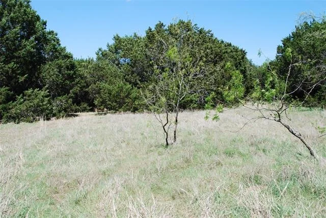 Photo of 19016 Bluebonnet Drive