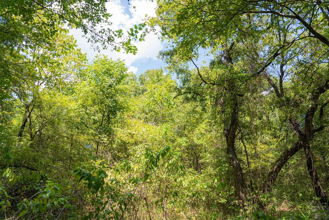 Photo of 11748 River Ranch Road