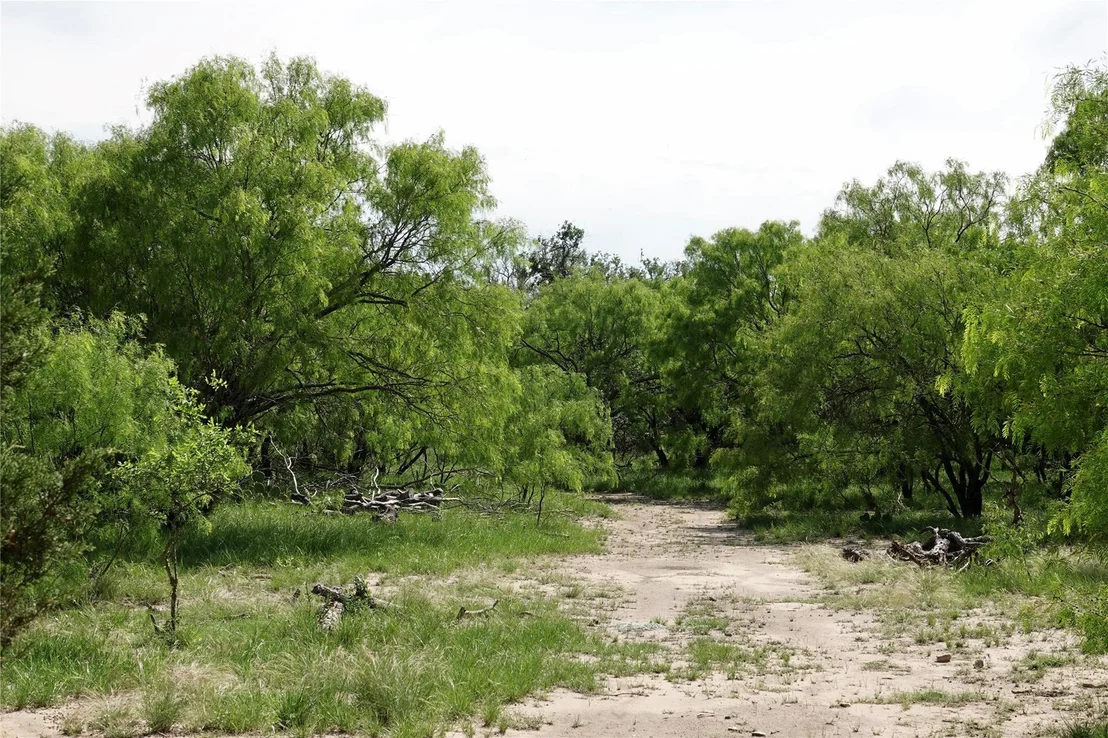 Photo of 981 W Hwy 84