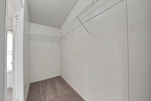 Photo of 5900 Wild Berry Trail